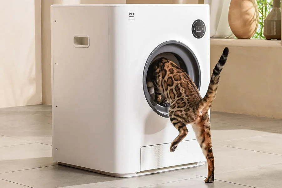 auto scoop litter box